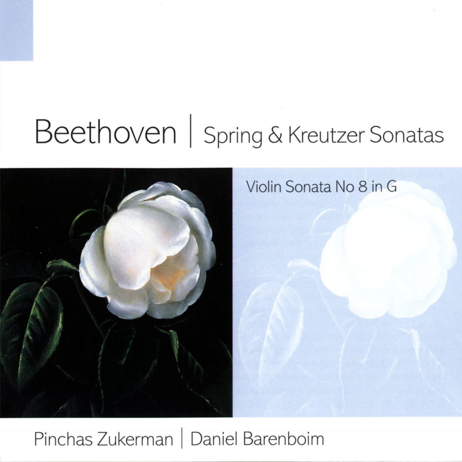Постер альбома Beethoven Spring & Kreutzer Sonatas