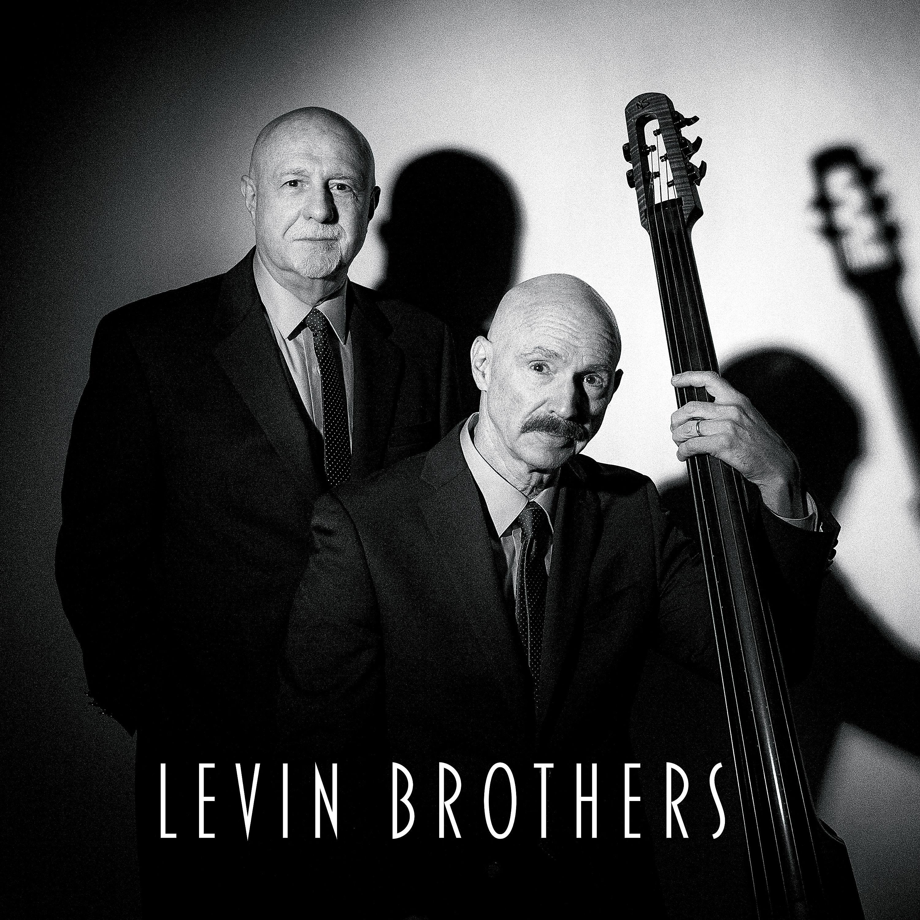 Постер альбома Levin Brothers