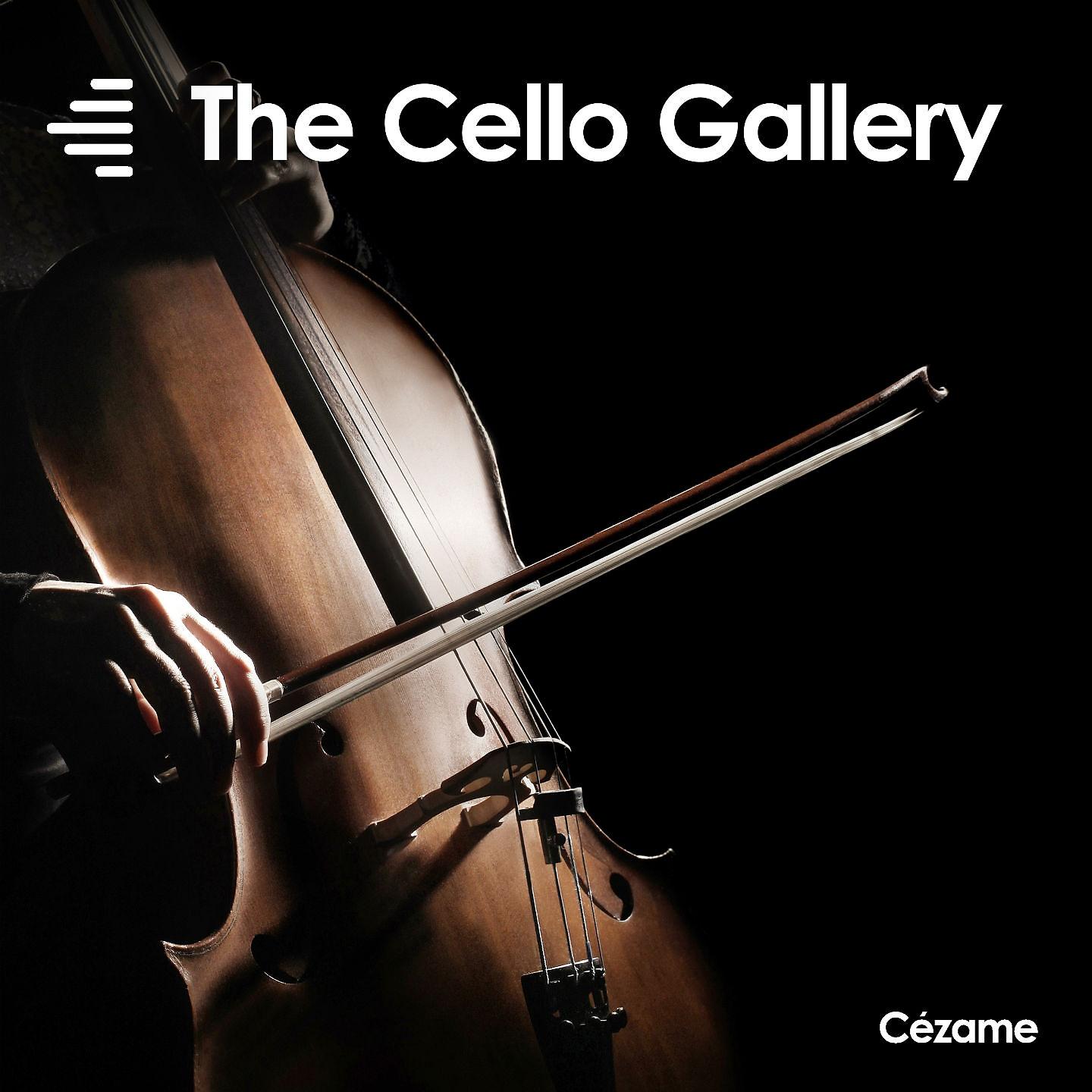 Постер альбома The Cello Gallery