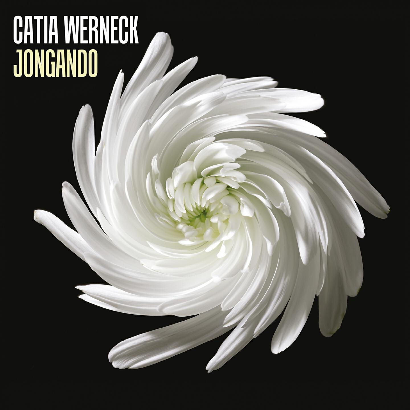 Catia Werneck - Domingo