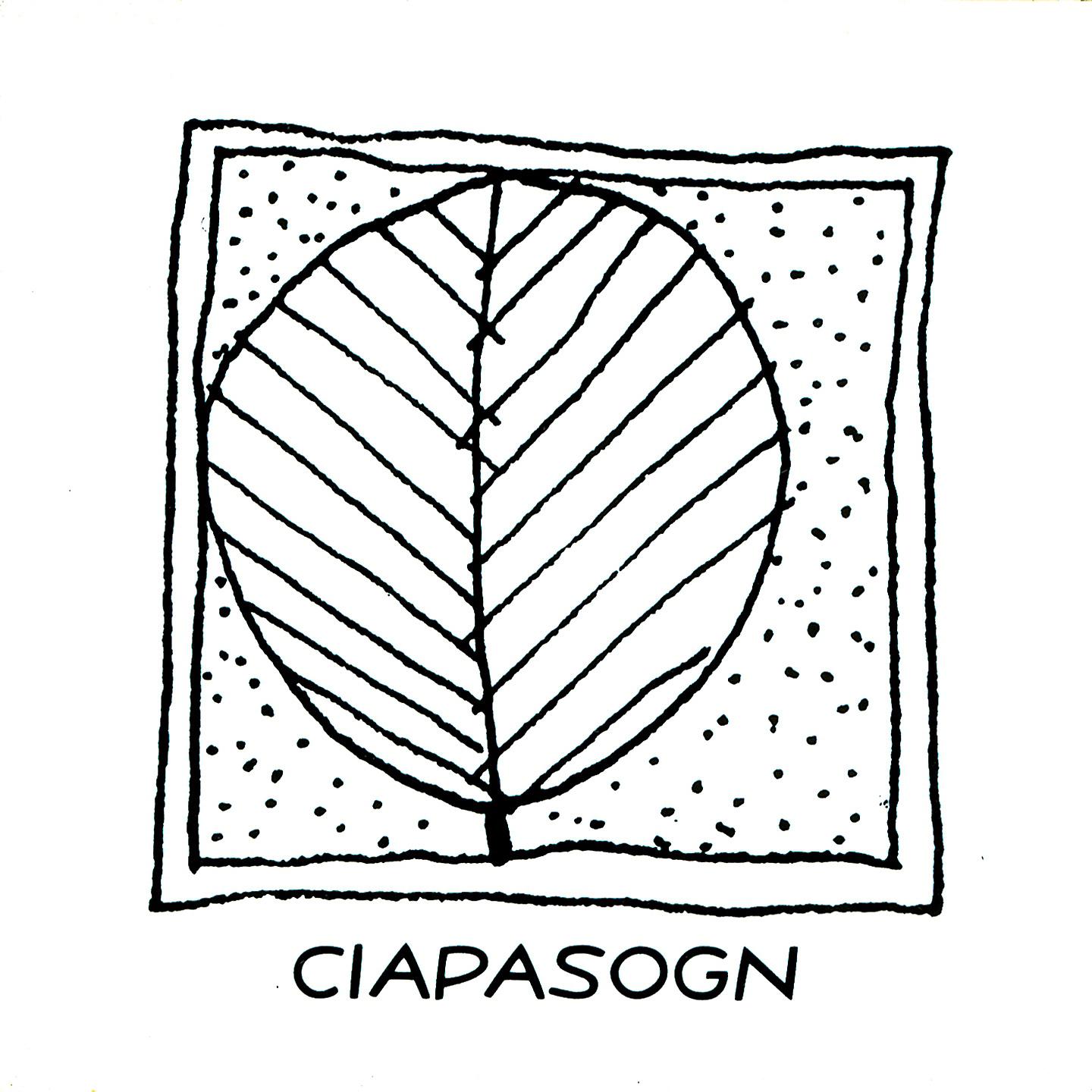Постер альбома Ciapasogn