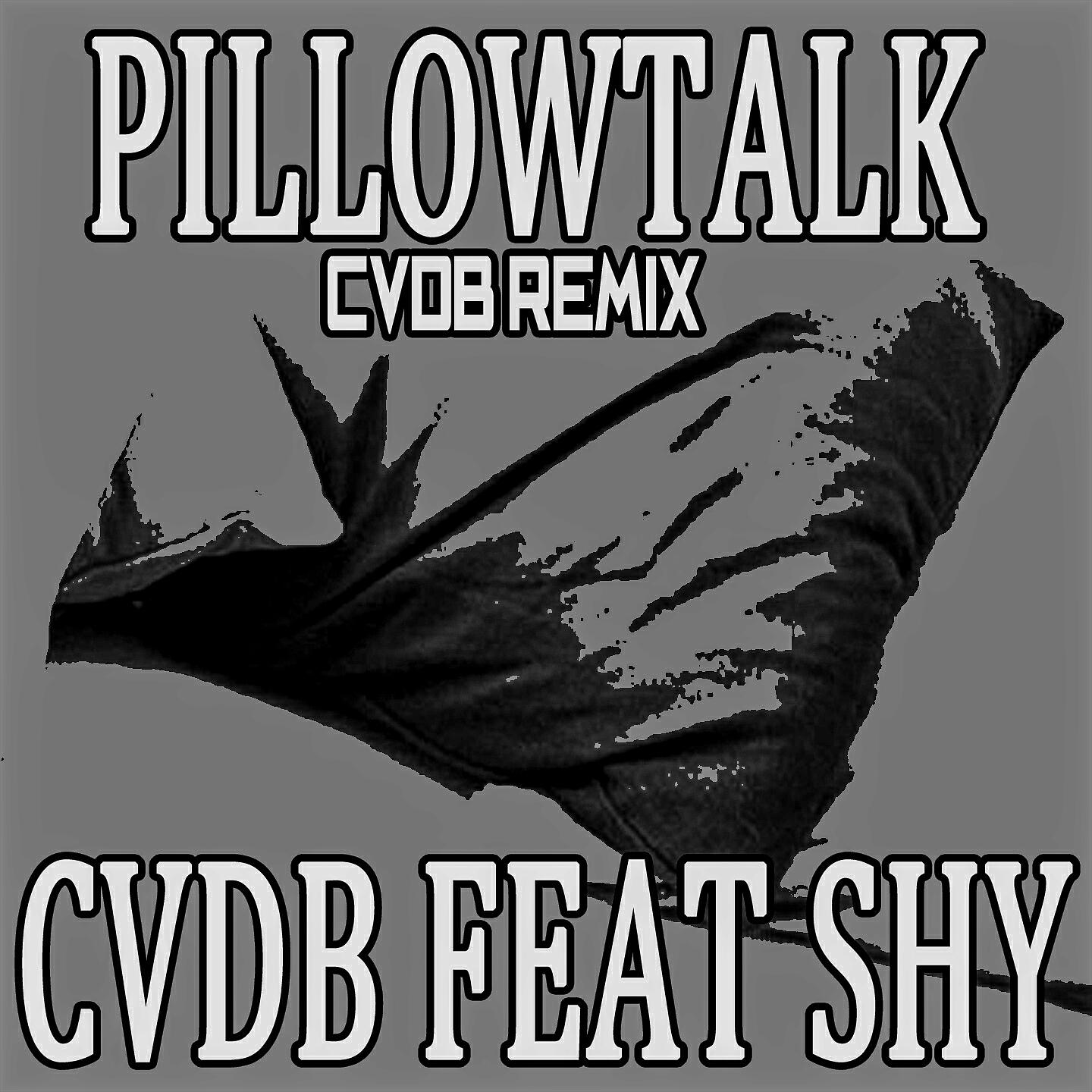 CVDB - Pillowtalk (Cvdb Instrumental Remix)