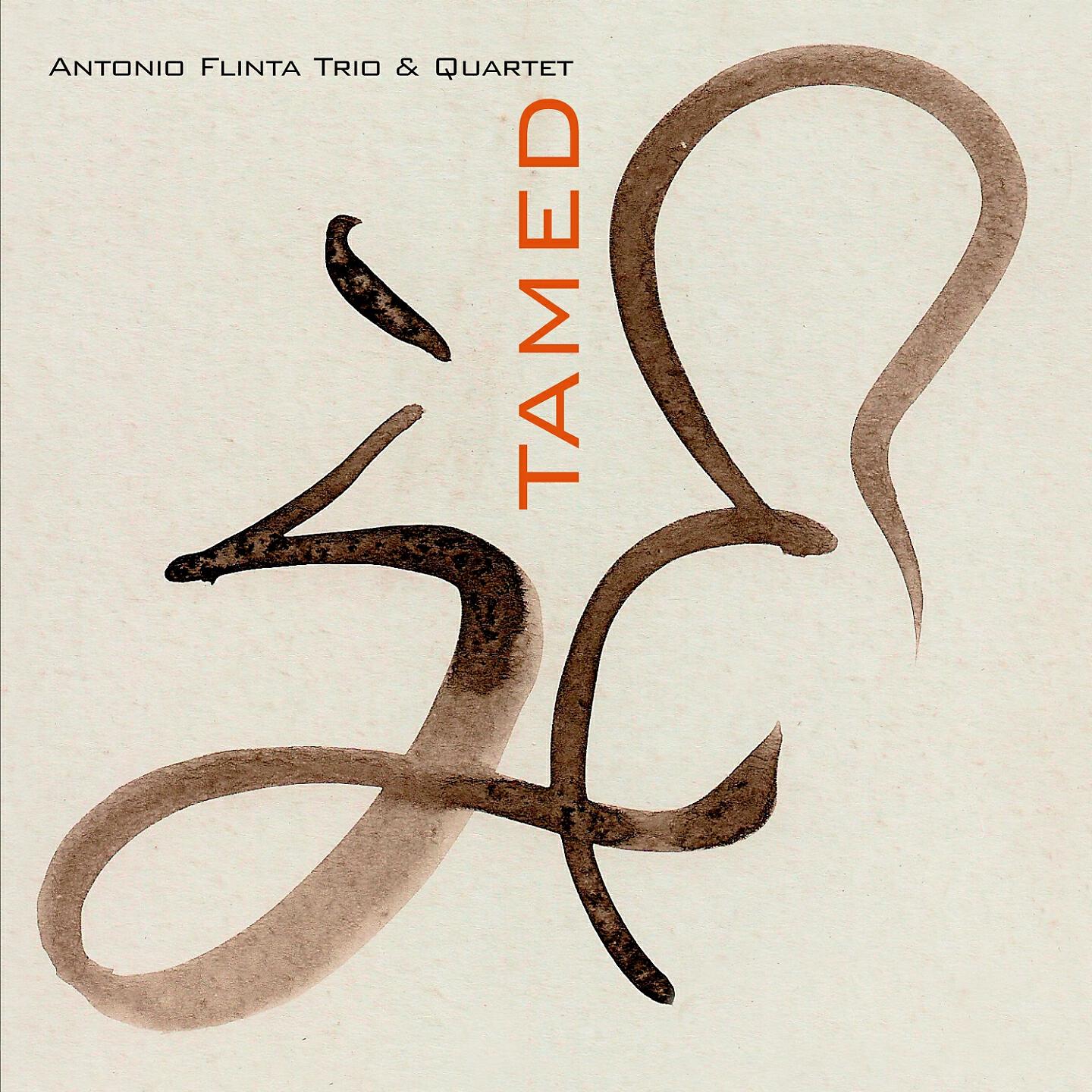 Antonio Flinta Trio - Views (Original Version)