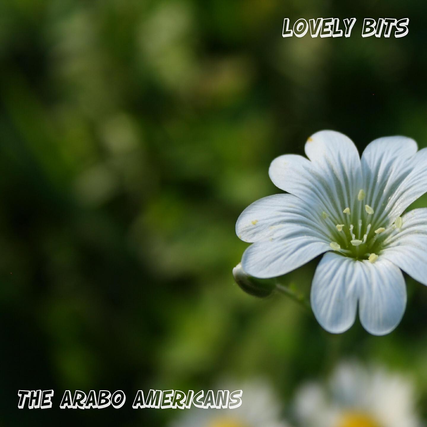 The Arabo Americans - Meet the Scout