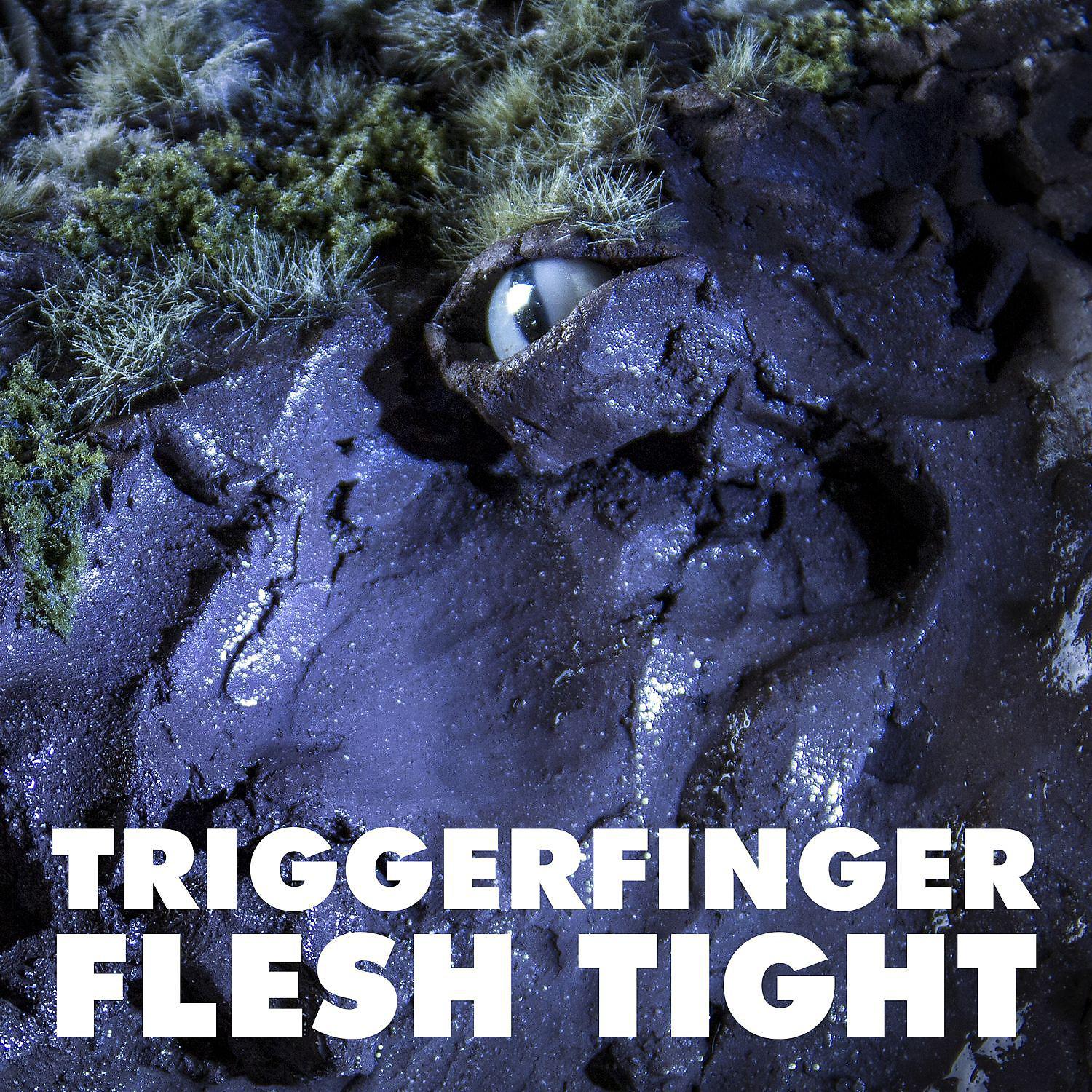 Постер альбома Flesh Tight