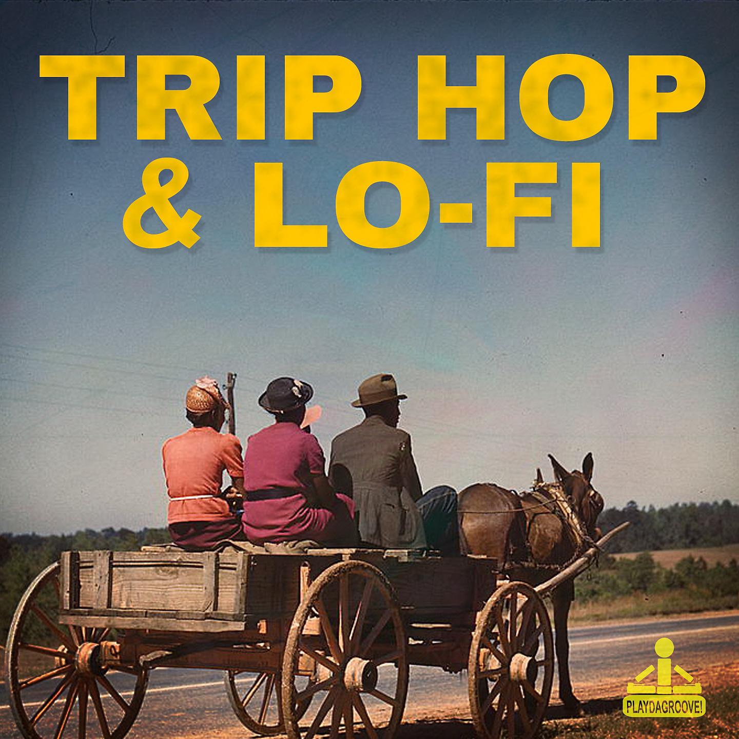 Постер альбома Trip Hop & Lo-Fi