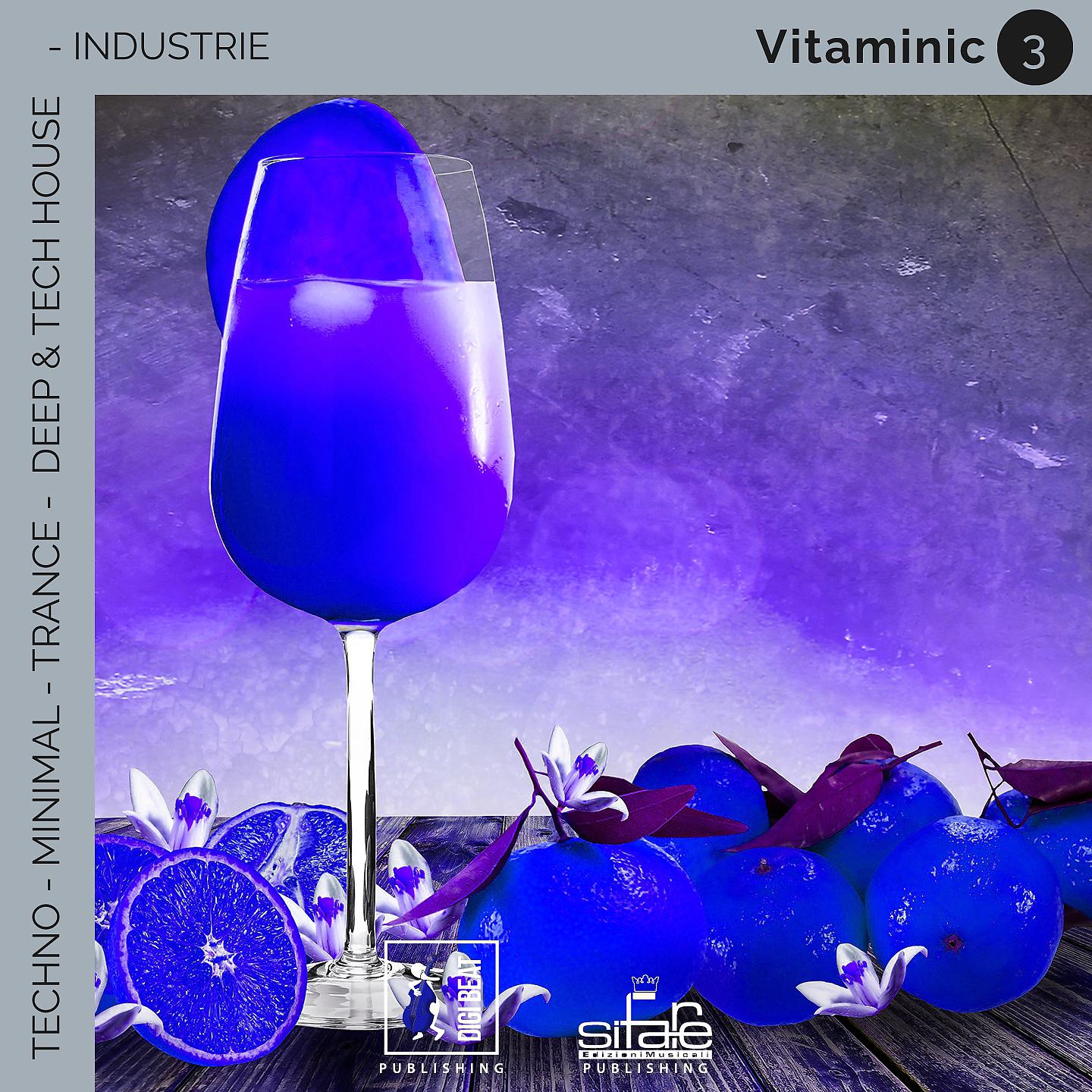 Постер альбома Vitaminic 3
