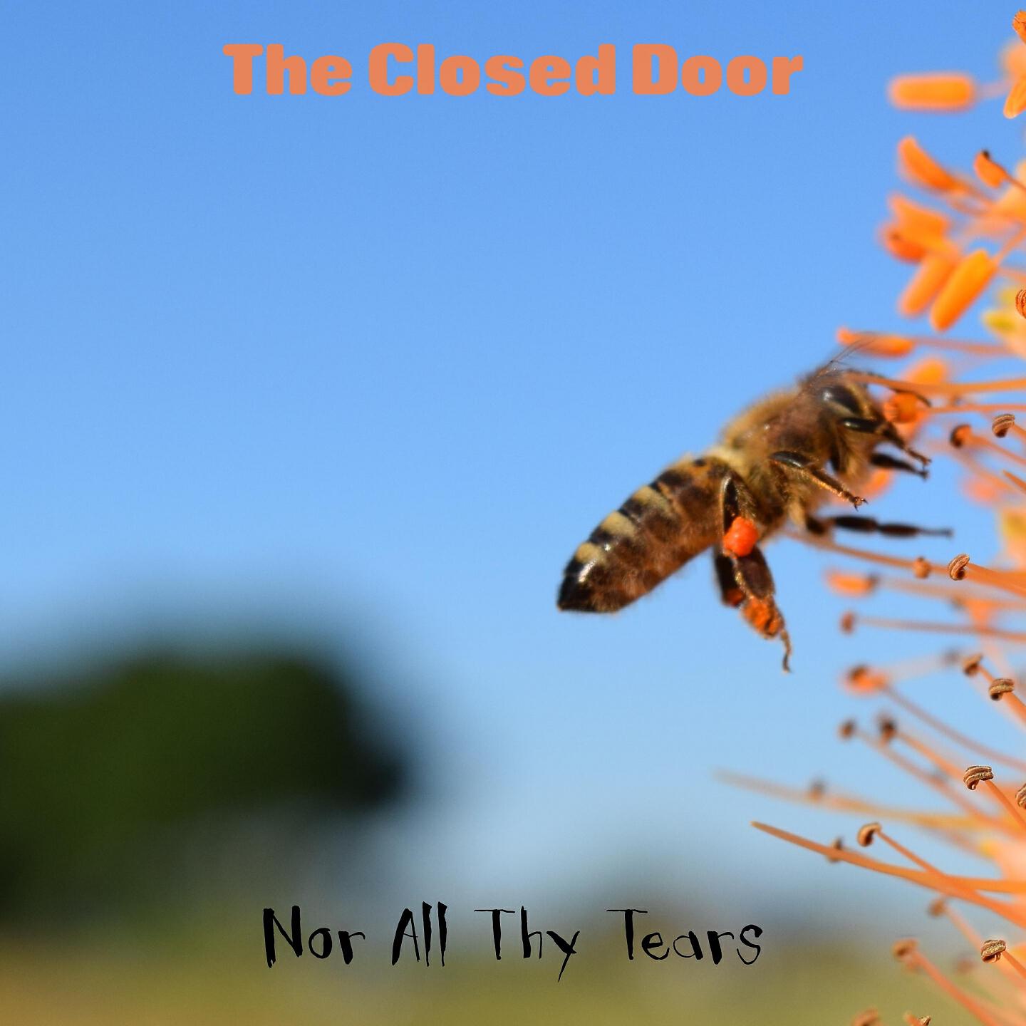 Nor All Thy Tears - Clint Black