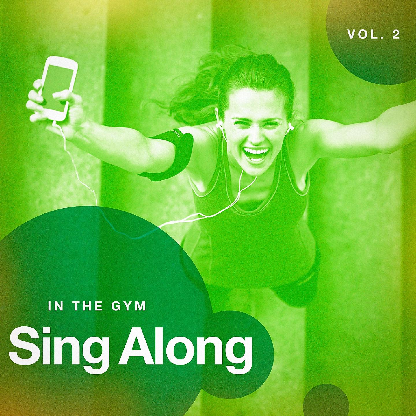 Постер альбома Sing Along in the Gym, Vol. 2