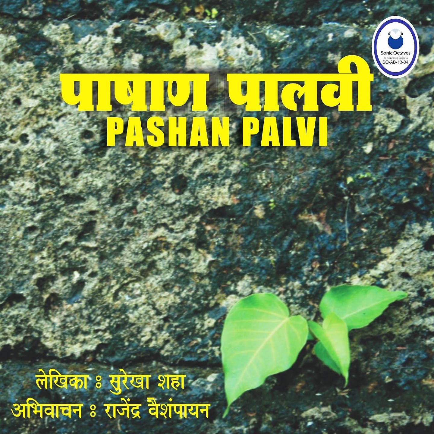 Постер альбома Pashan Palvi