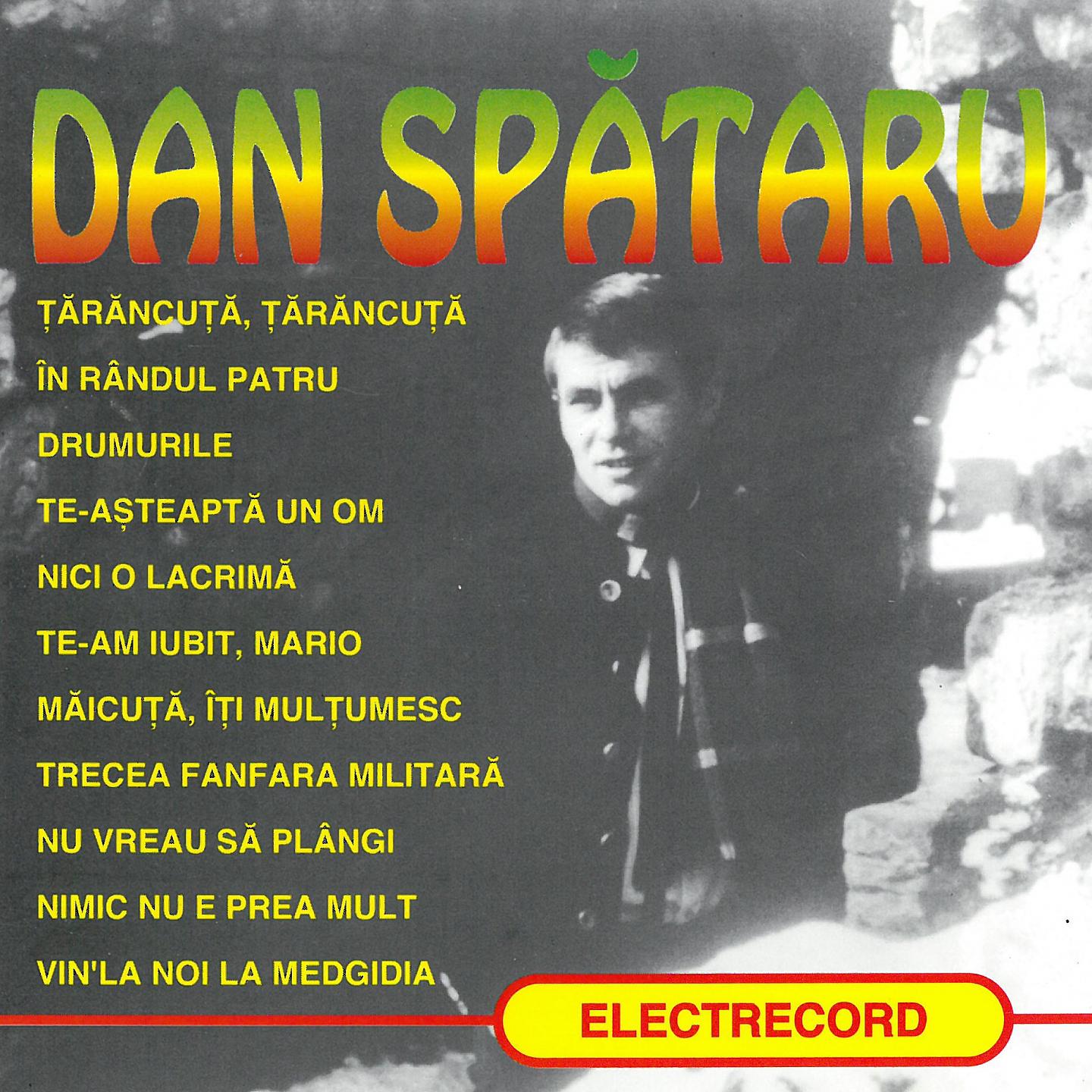 Постер альбома Best of Dan Spătaru