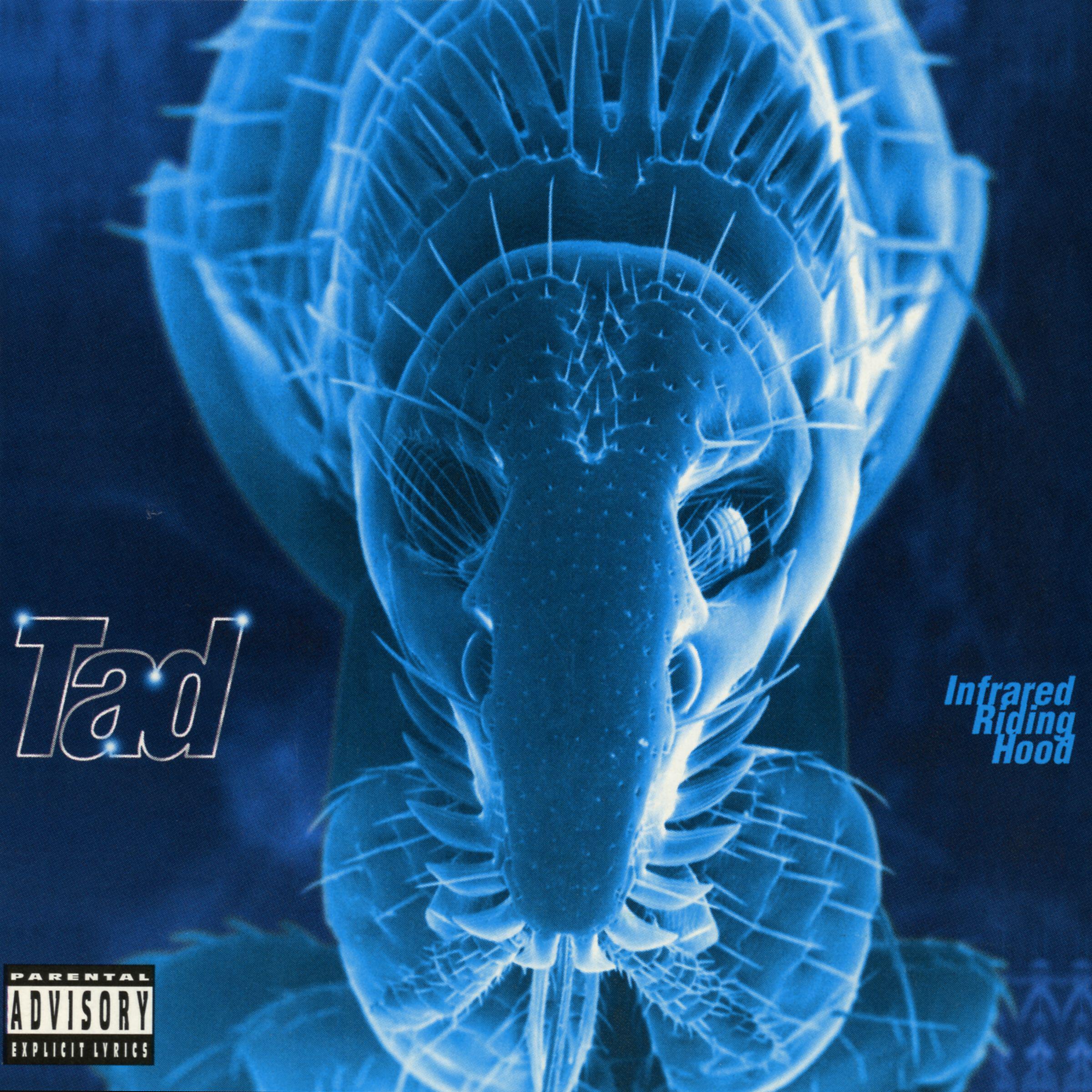 TAD - Emotional Cockroach