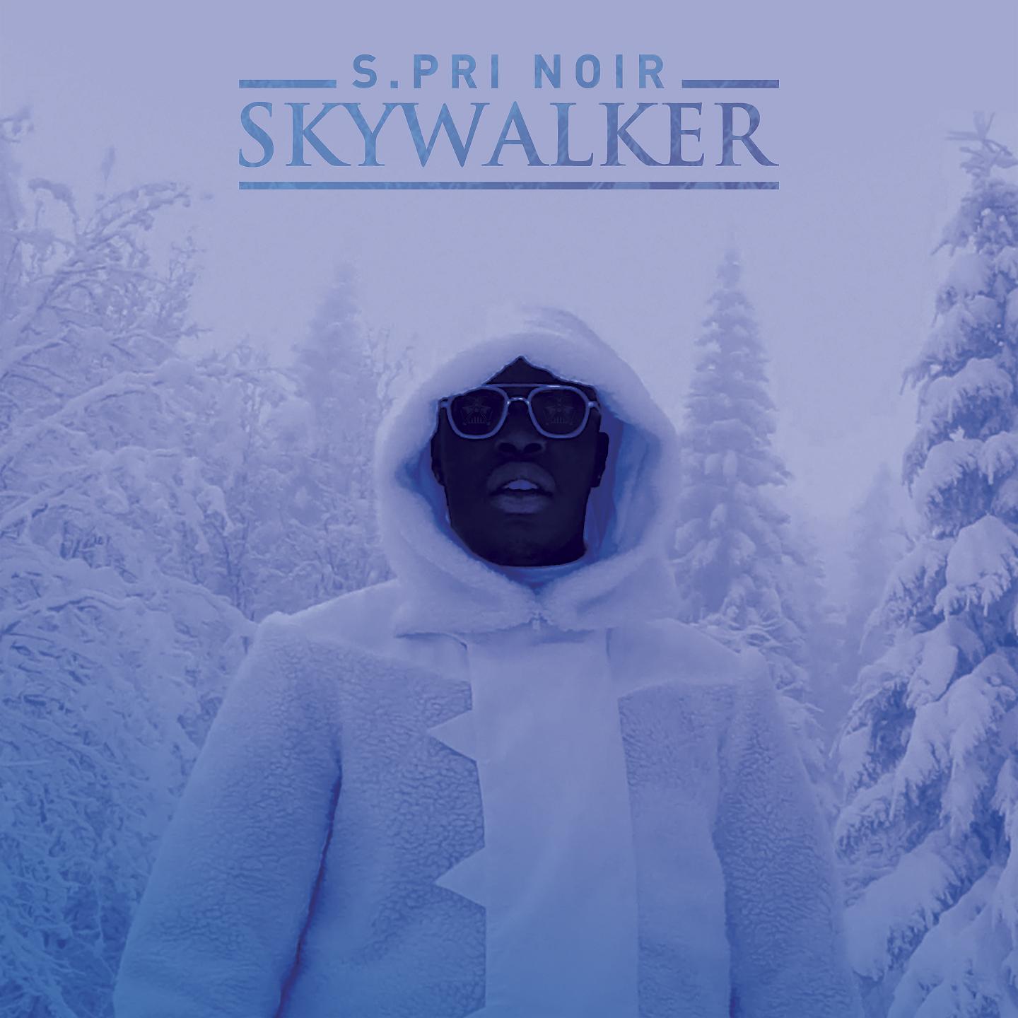 Постер альбома Skywalker