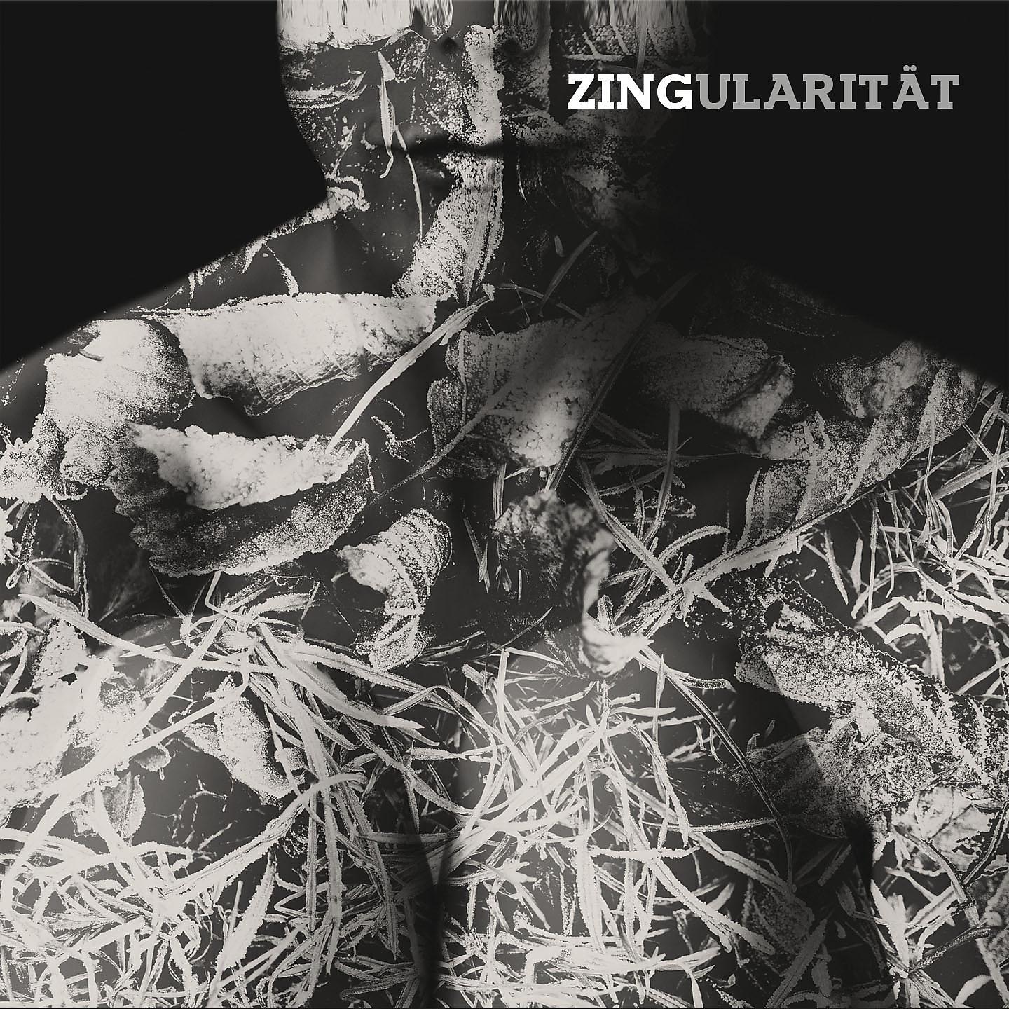 Постер альбома Zingularität
