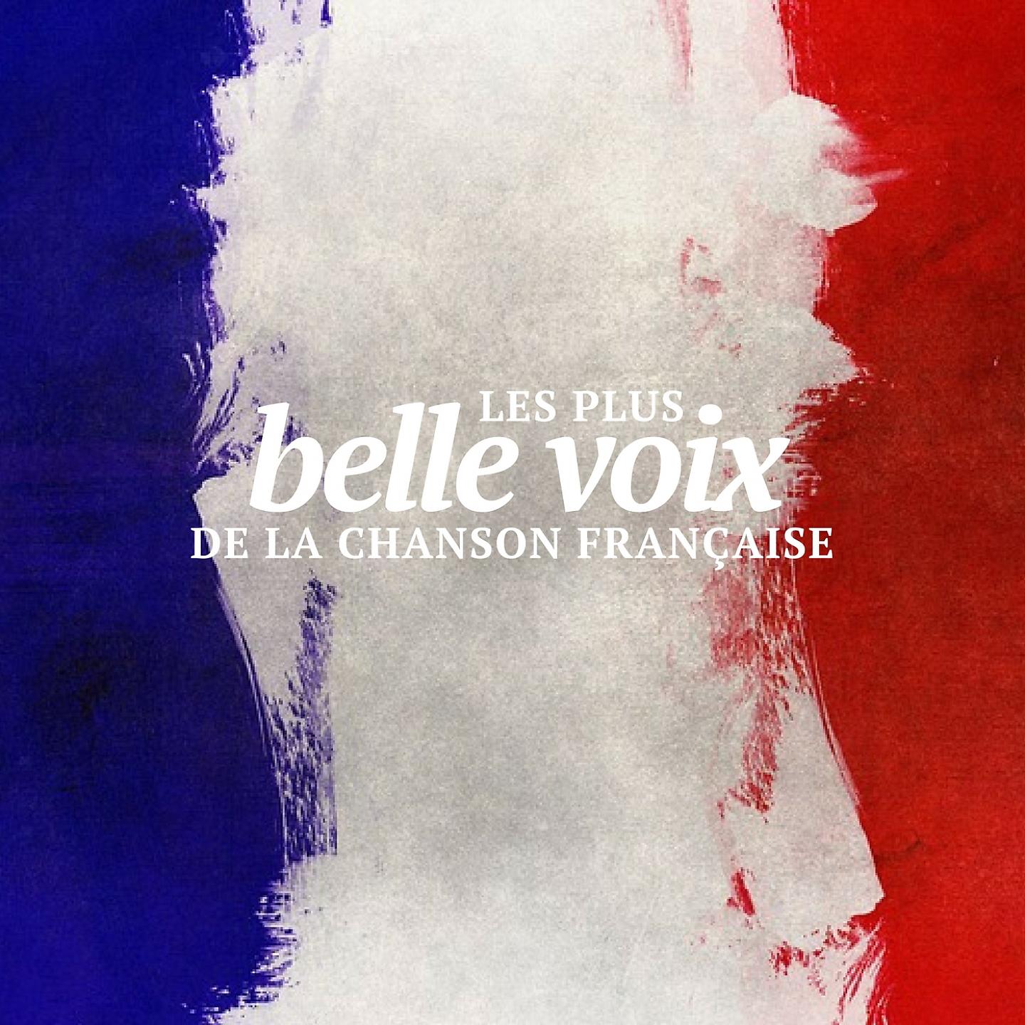 Постер альбома Les plus belles voix de la chanson française