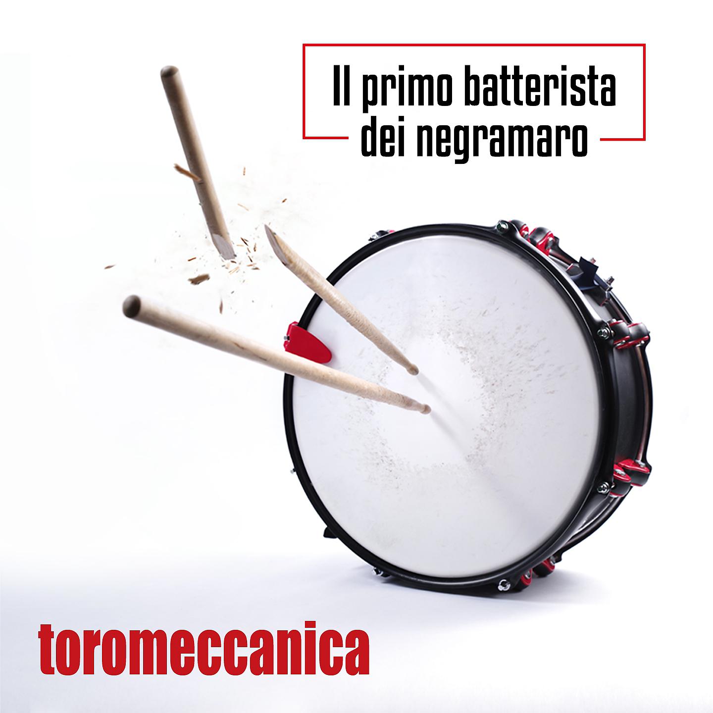 Постер альбома Il primo batterista dei Negramaro