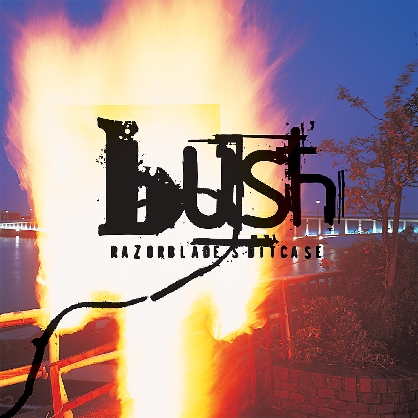BUSH - Insect Kin (Remastered)