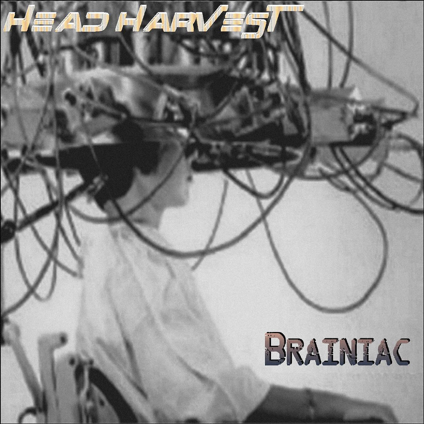 Head Harvest - Bomb the Bass