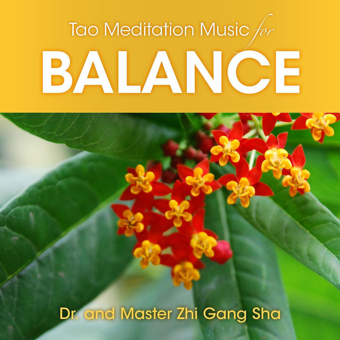 Постер альбома Tao Meditation Music for Balance