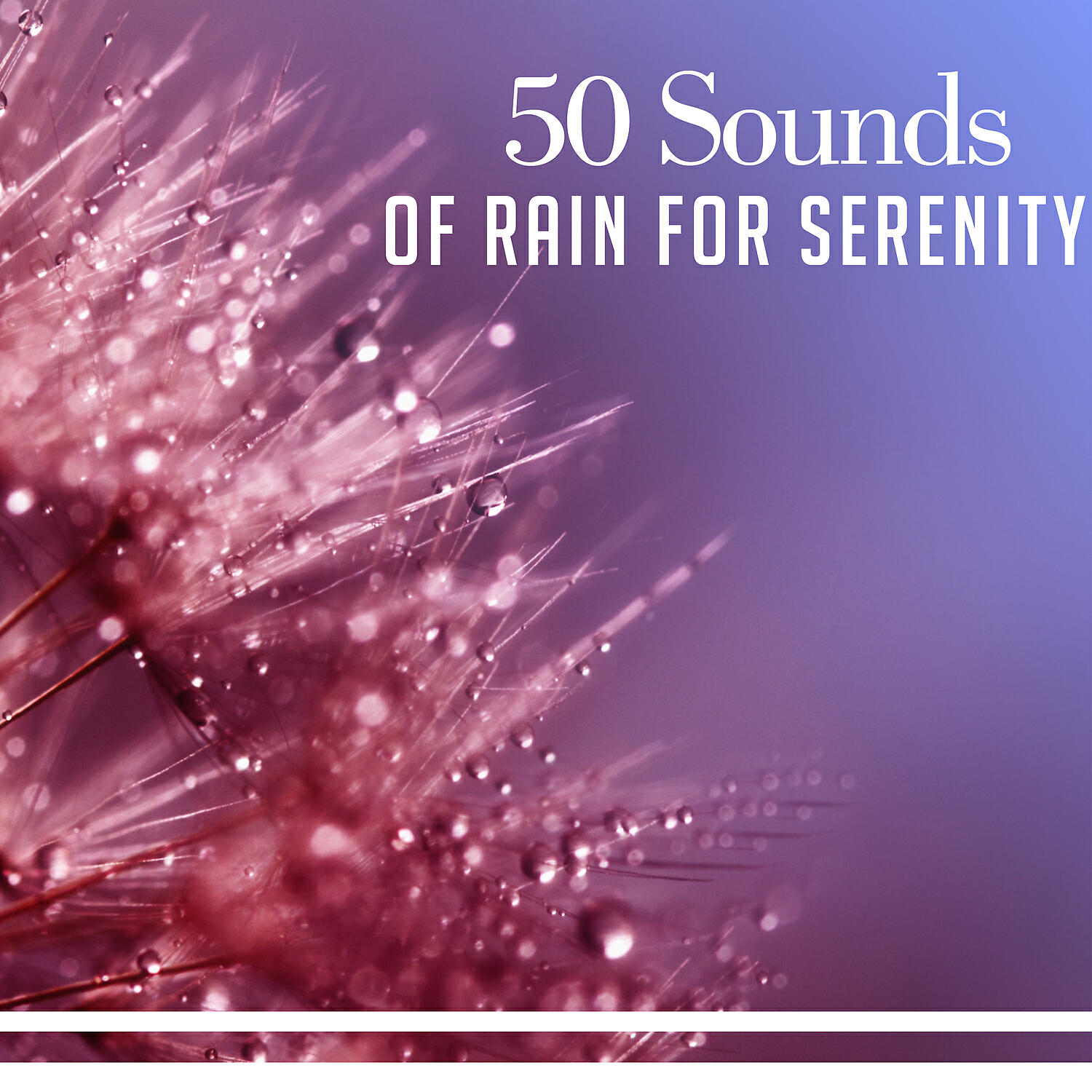 Meditation Mantras Guru - Nature Rain, Relaxation Music