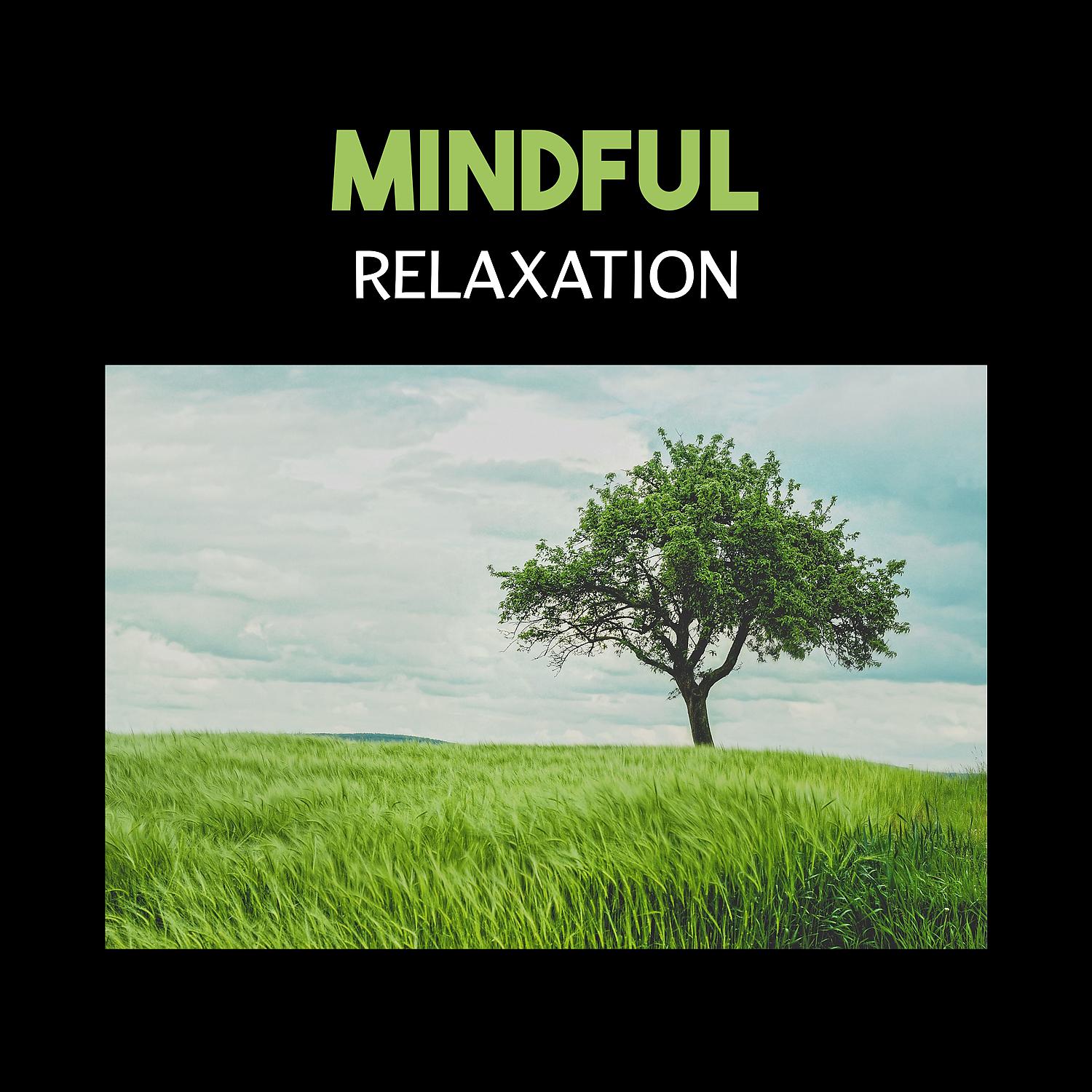 Постер альбома Mindful Relaxation – Natural Meditation and Unwind, Release Emotional Tension, Music Therapy for Stress Buster, Helpful Stretches