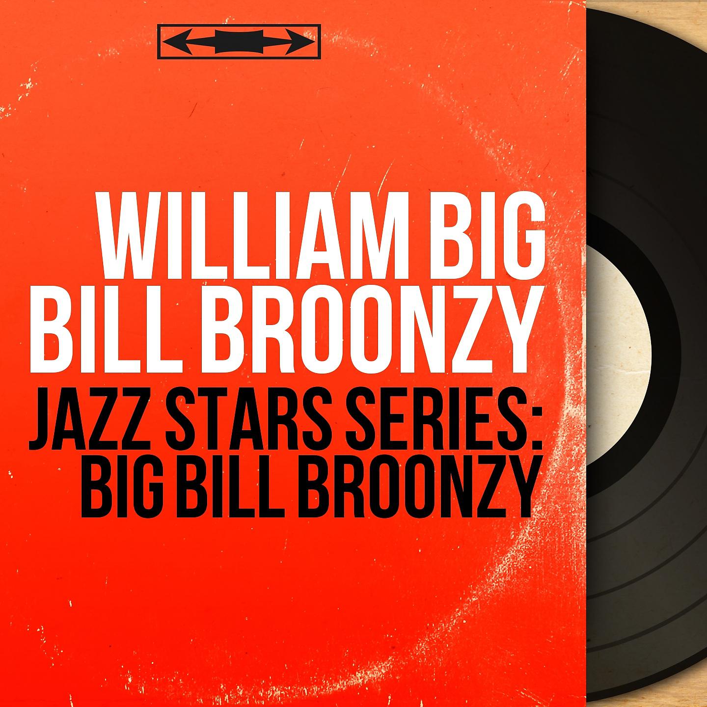 Постер альбома Jazz Stars Series: Big Bill Broonzy