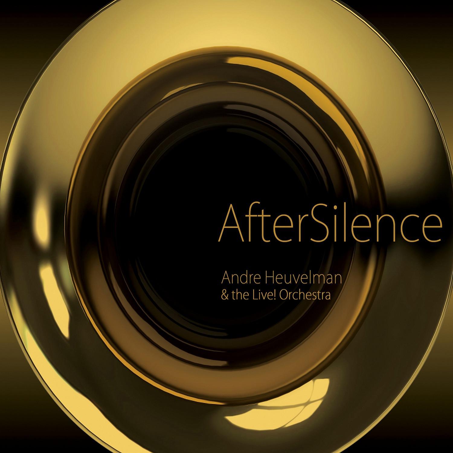 Постер альбома After Silence