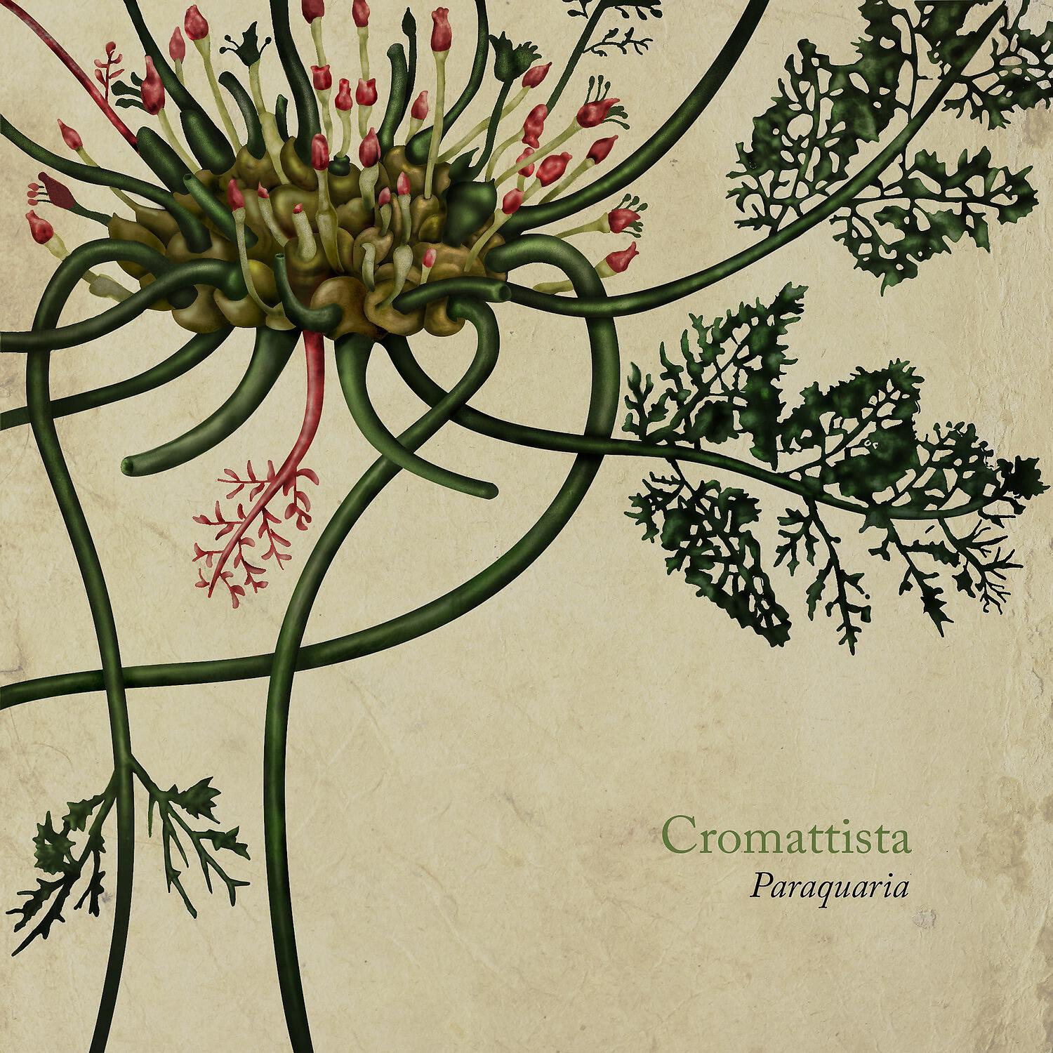 Cromattista - Belmondo