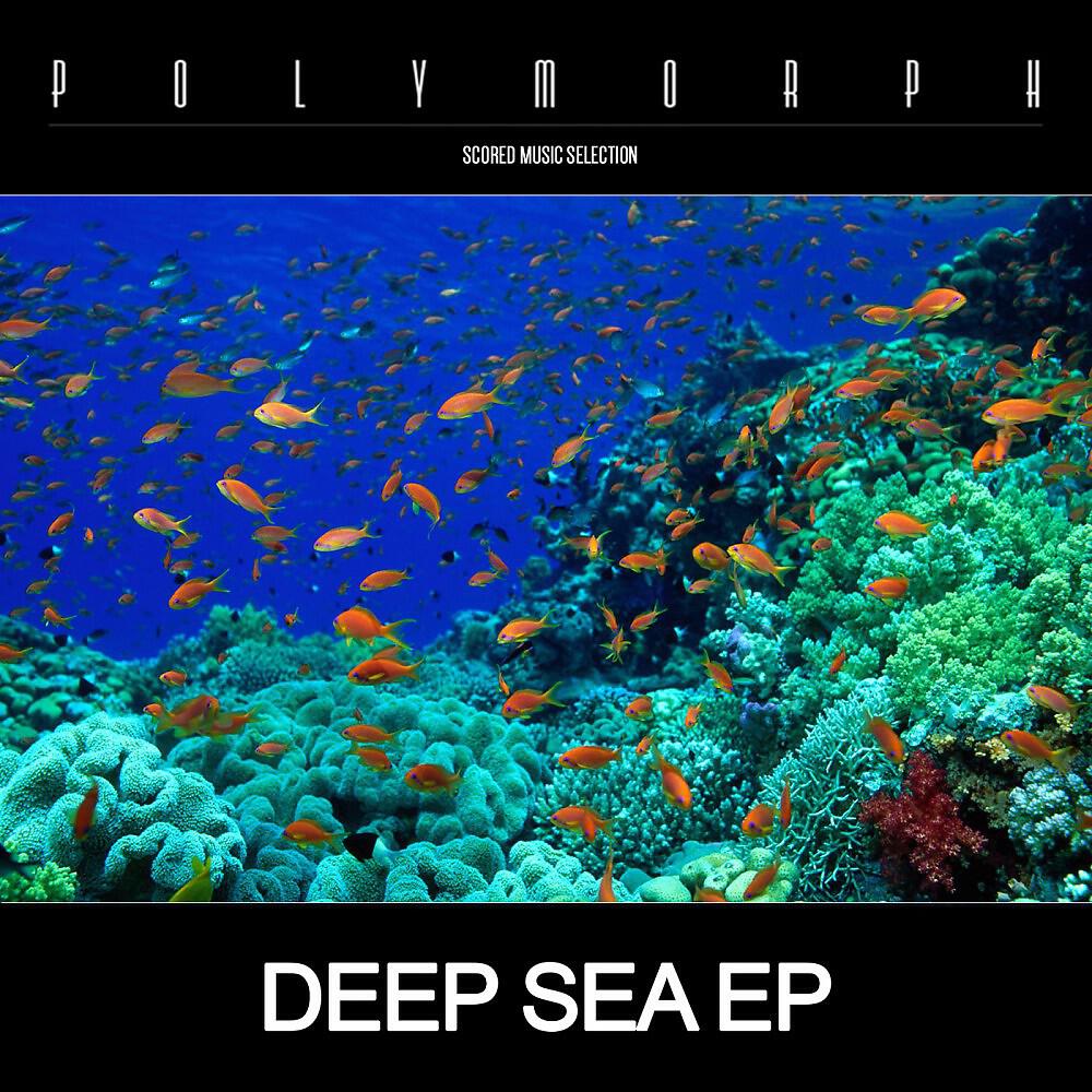 Polymorph - Deep Sea C