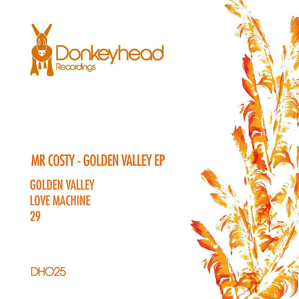 Постер альбома Mr Costy - Golden Valley EP