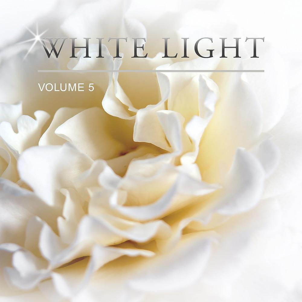 Постер альбома White Light, Vol. 5