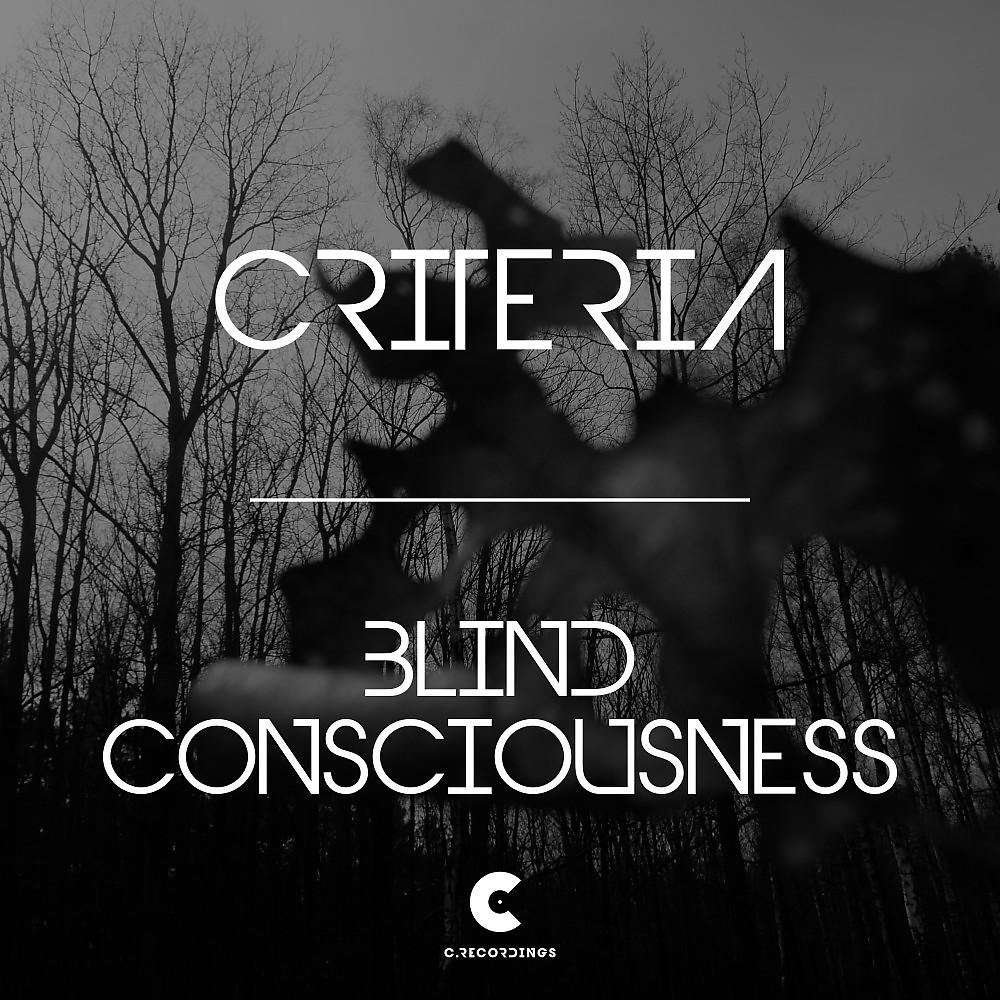 Постер альбома Blind Consciousness