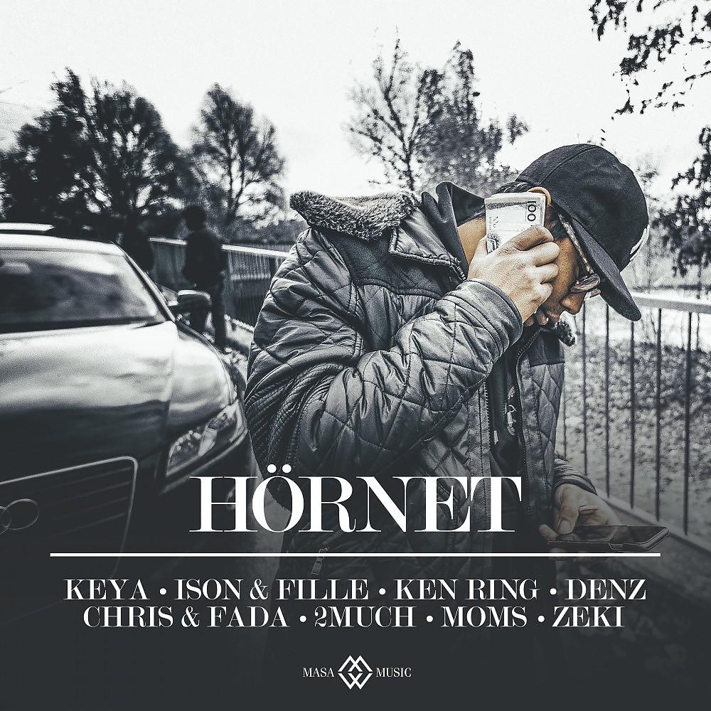 Постер альбома Hörnet (Remix)