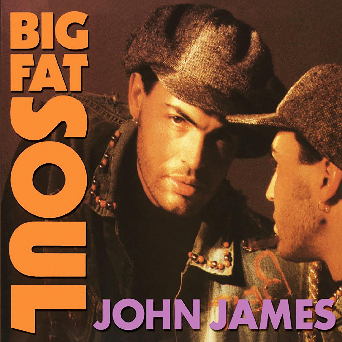 Постер альбома Big Fat Soul