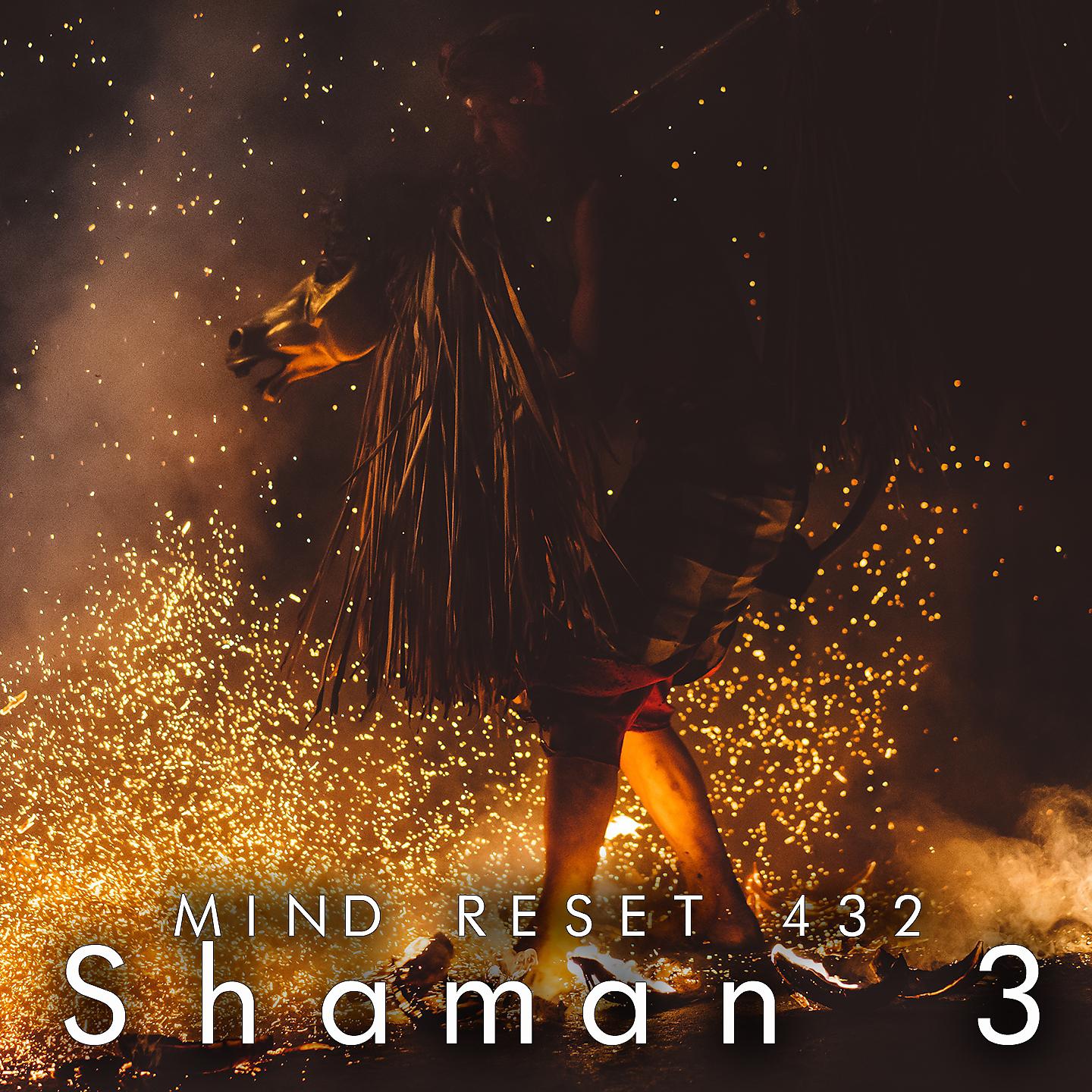 Постер альбома Shaman 3