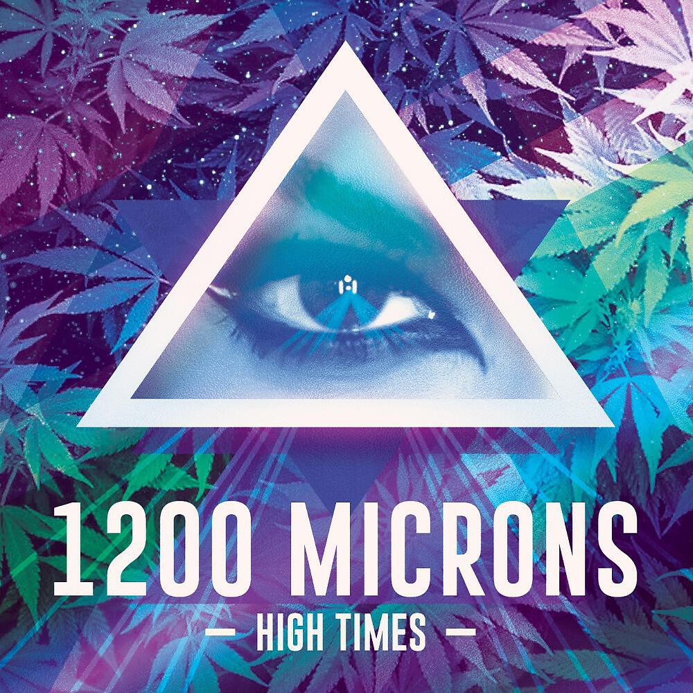 1200 Microns - Purple Haze (Original Mix)