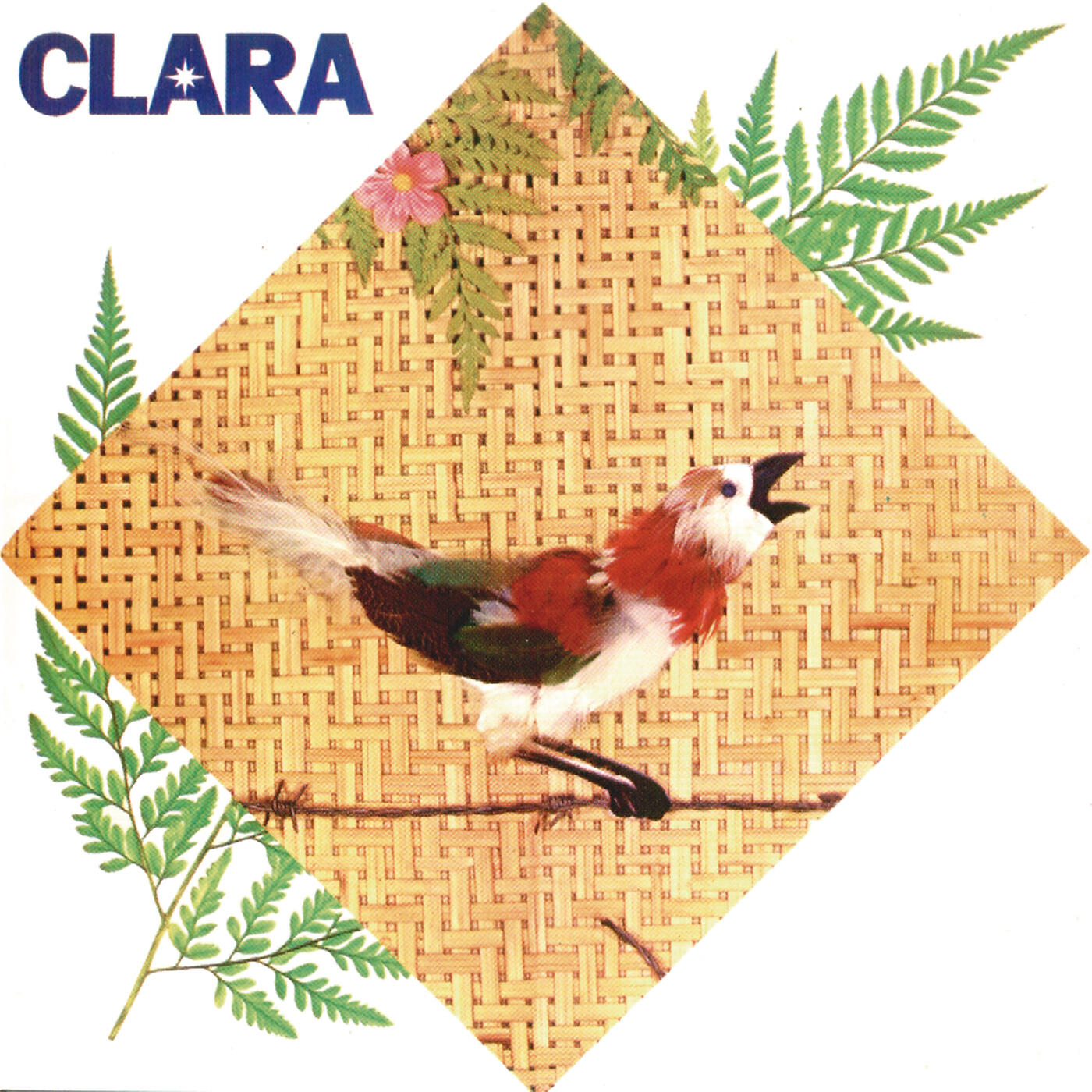 Clara Nunes - Portela Na Avenida