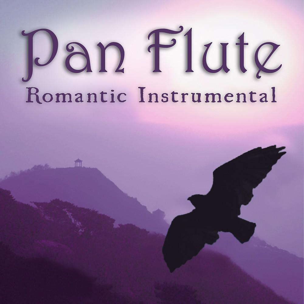Постер альбома Romantic Instrumental Hits