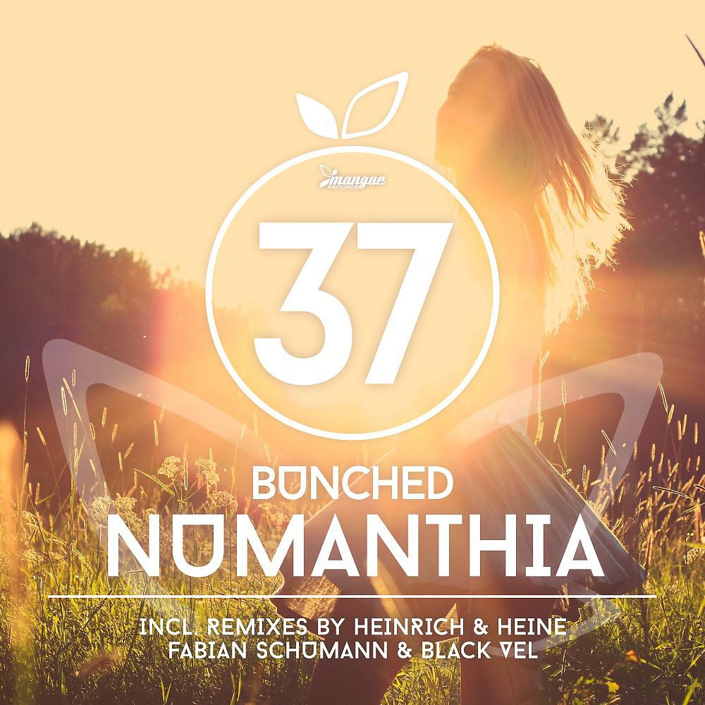Постер альбома Numanthia