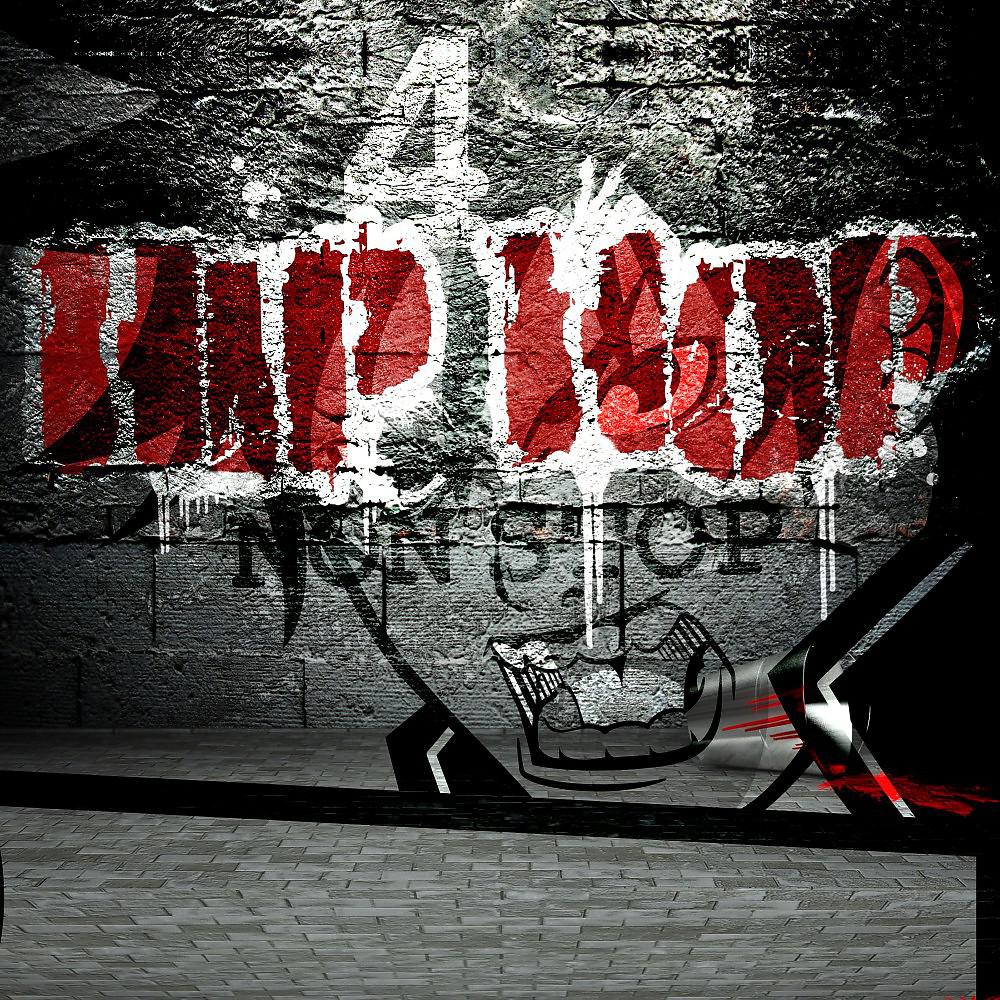 Постер альбома Hip Hop Non Stop, Vol. 4