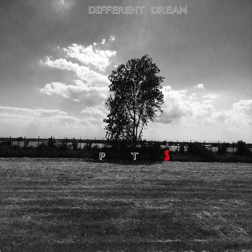 Постер альбома Different Dream