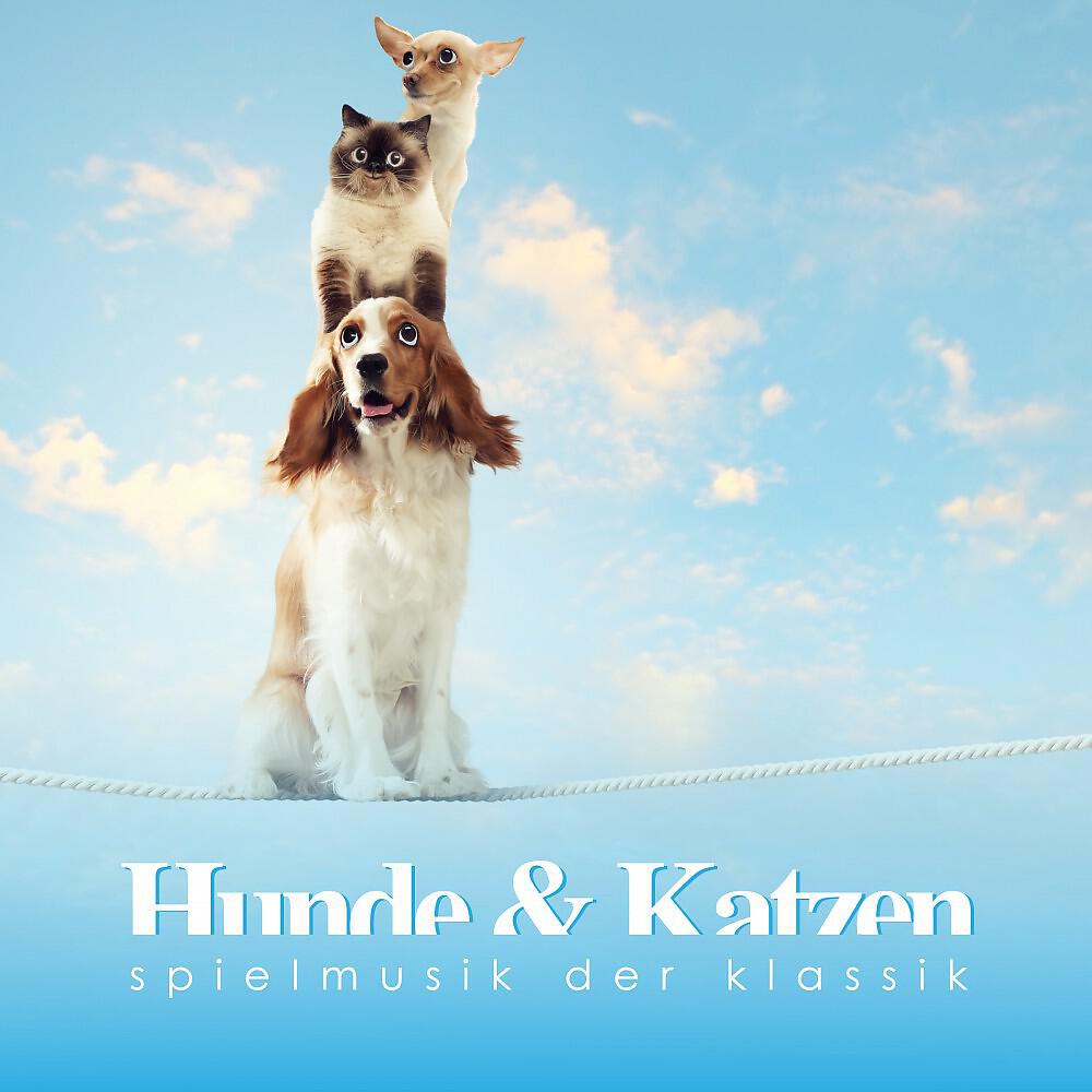 Majid Katzer - Zärtliche Emanzen