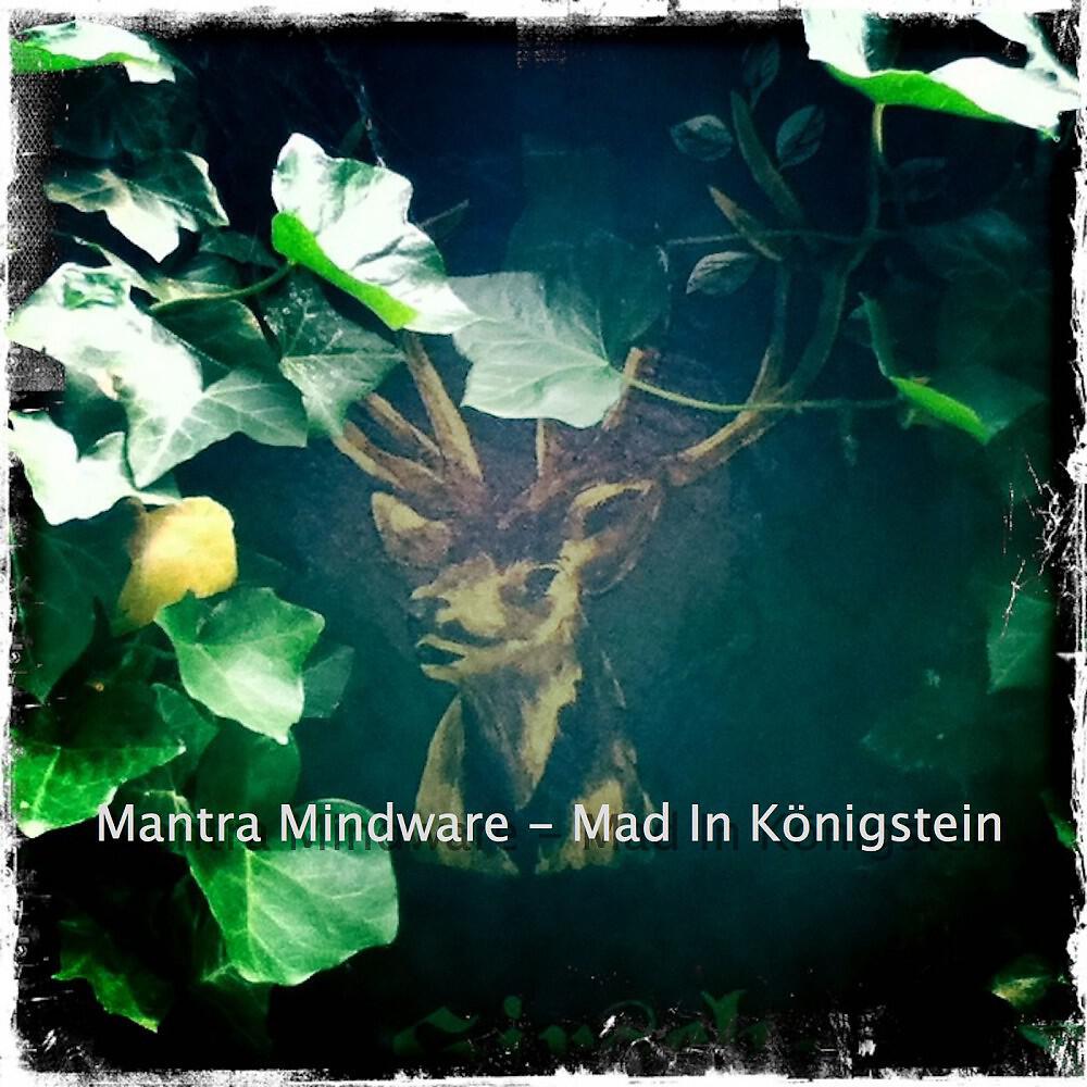 Mantra Mindware - Housefly (Hypno Version)