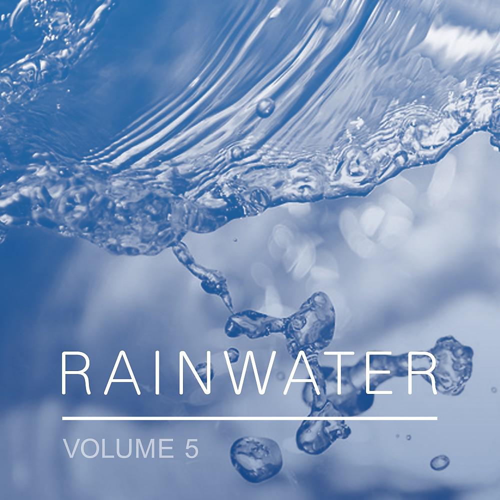 Постер альбома Rainwater, Vol. 5