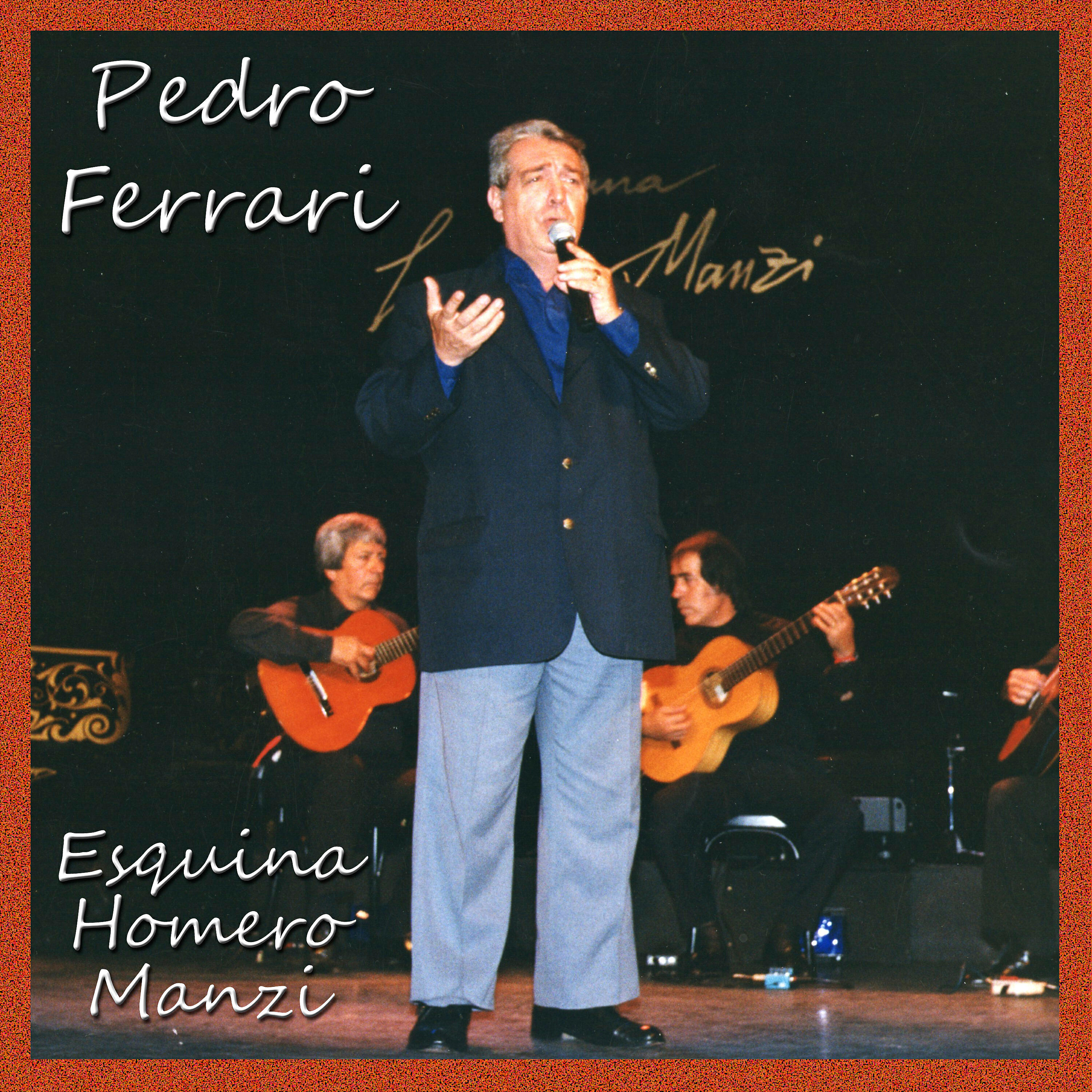 Pedro Ferrari все песни в mp3