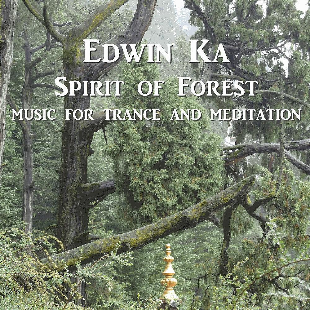 Постер альбома Spirit of Forest