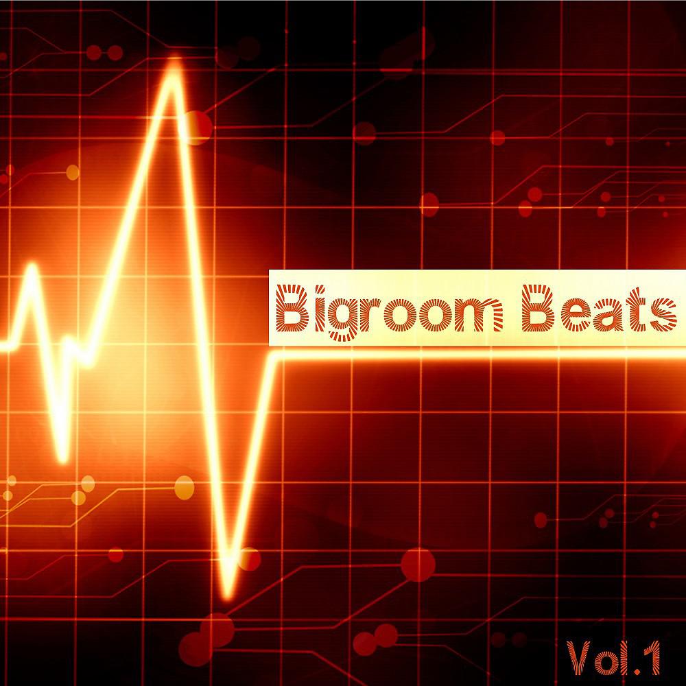 Постер альбома Bigroom Beats, Vol. 1