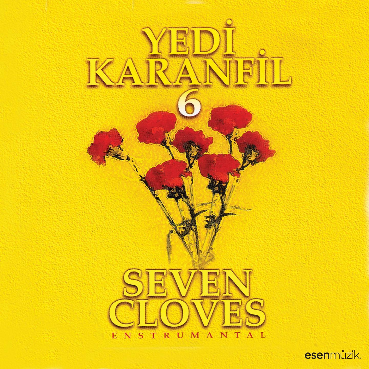 Постер альбома Yedi Karanfil, Vol. 6