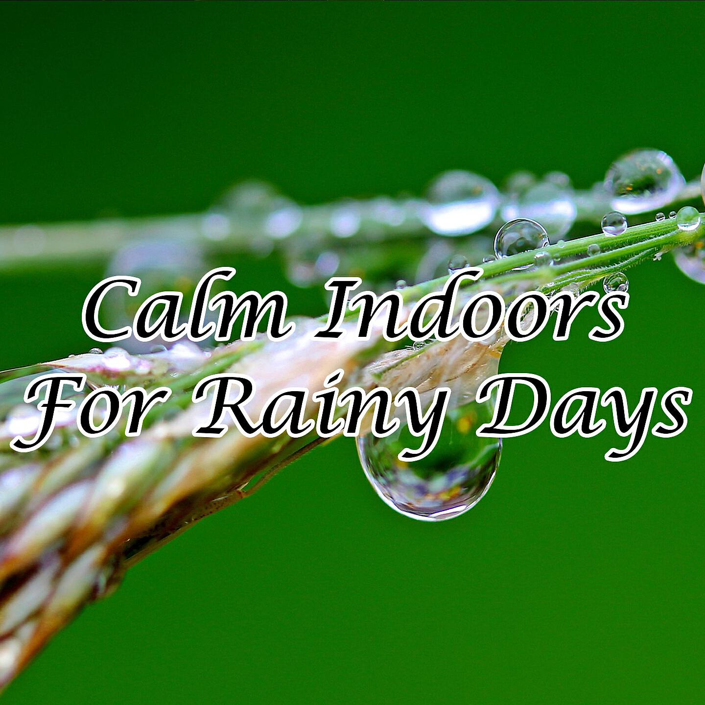 Rain Sounds & White Noise - Thundering Rain