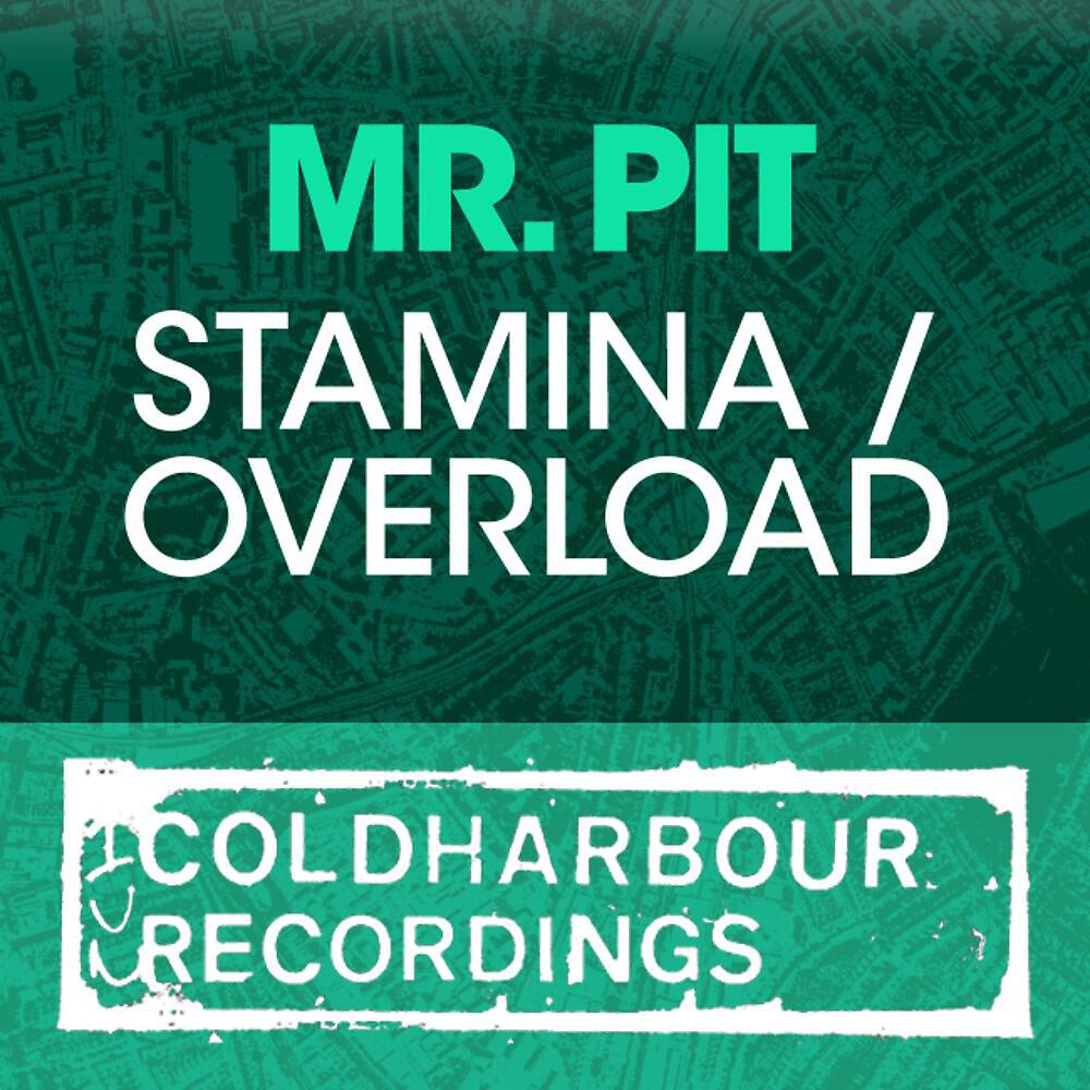 Mr. Pit - Stamina (Club Mix)
